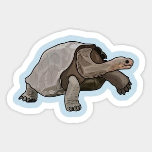 Galapagos tortoise cartoon illustration Sticker